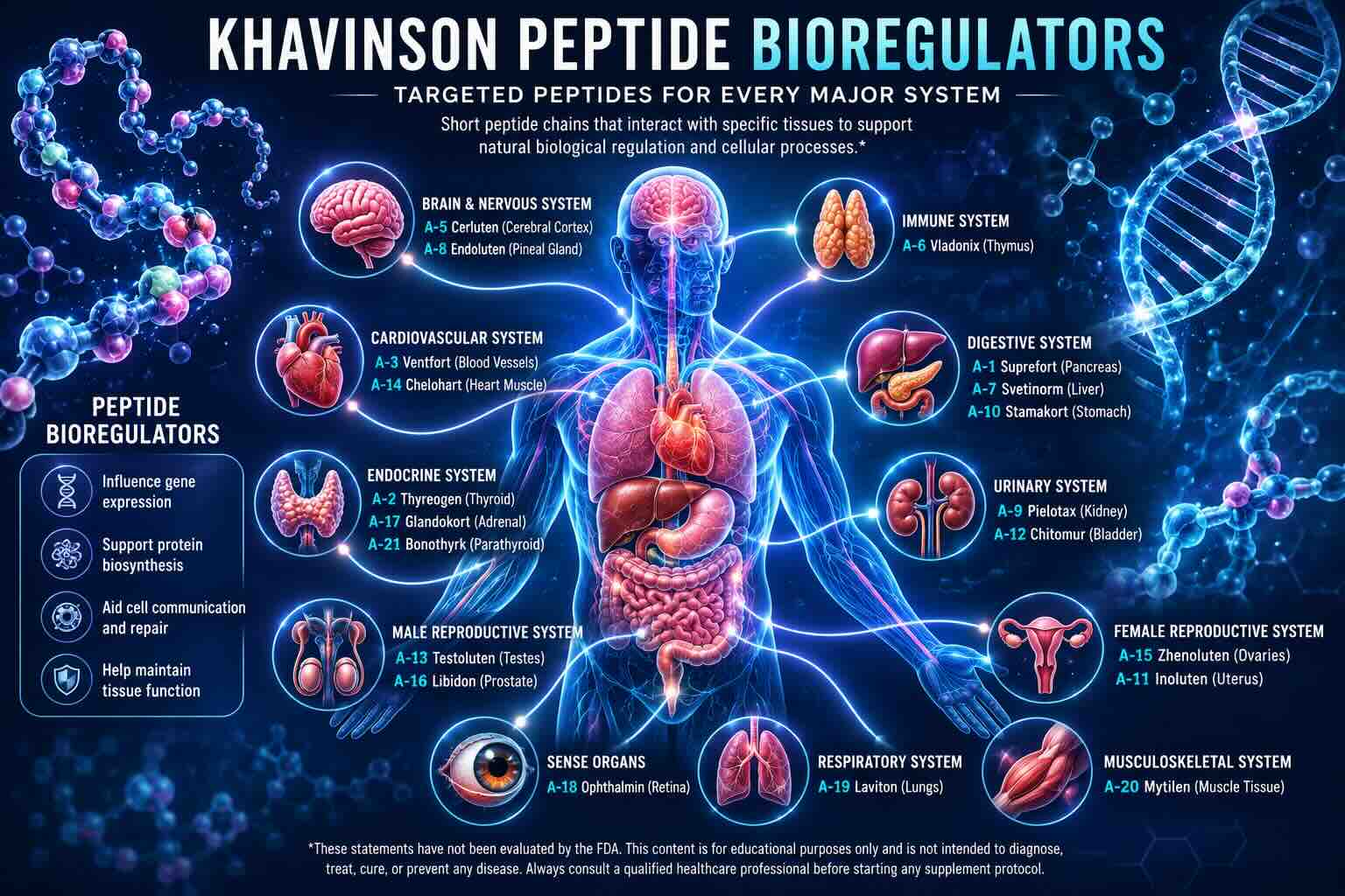 Khavinsons Bioregulator Map Guide