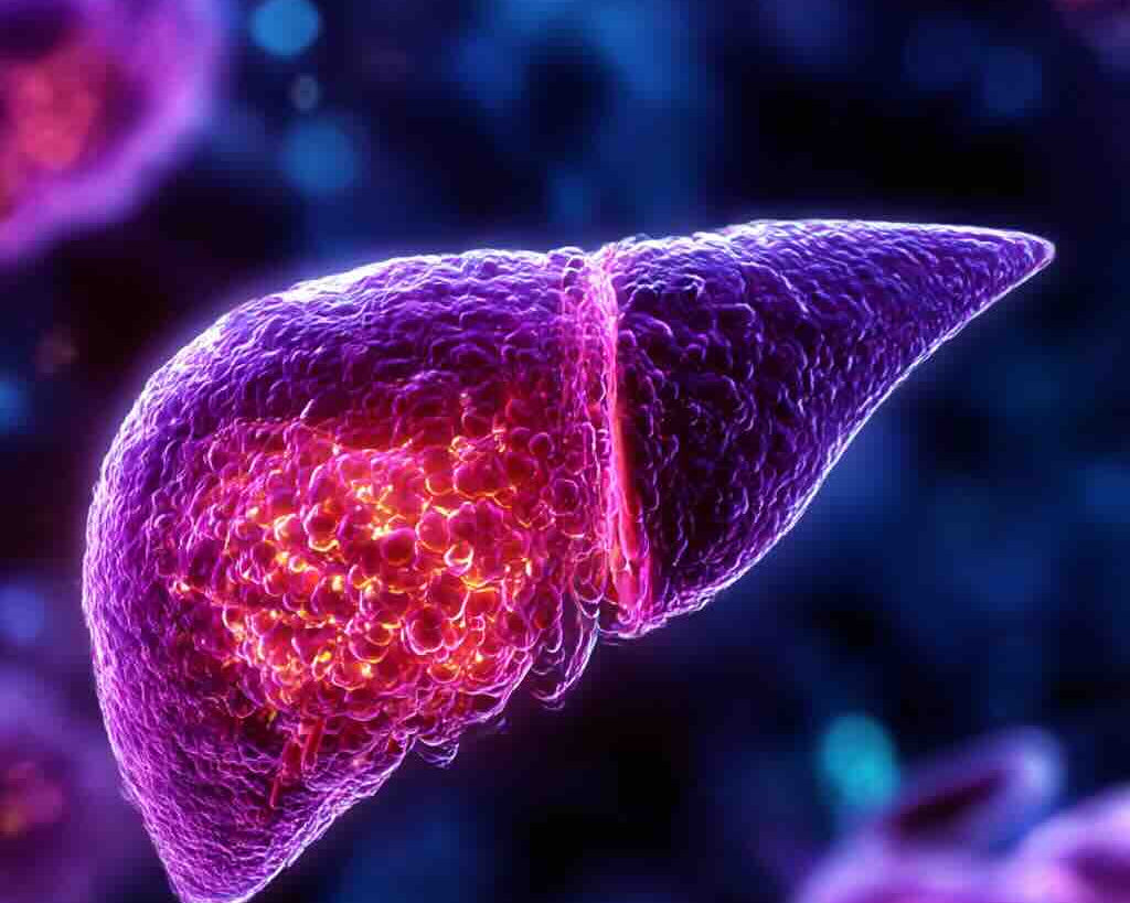 Decoding Svetinorm: The Science Behind the Liver Bioregulator