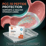 Peptix  A-10 Stomach Peptide Bioregulator with Stamakort