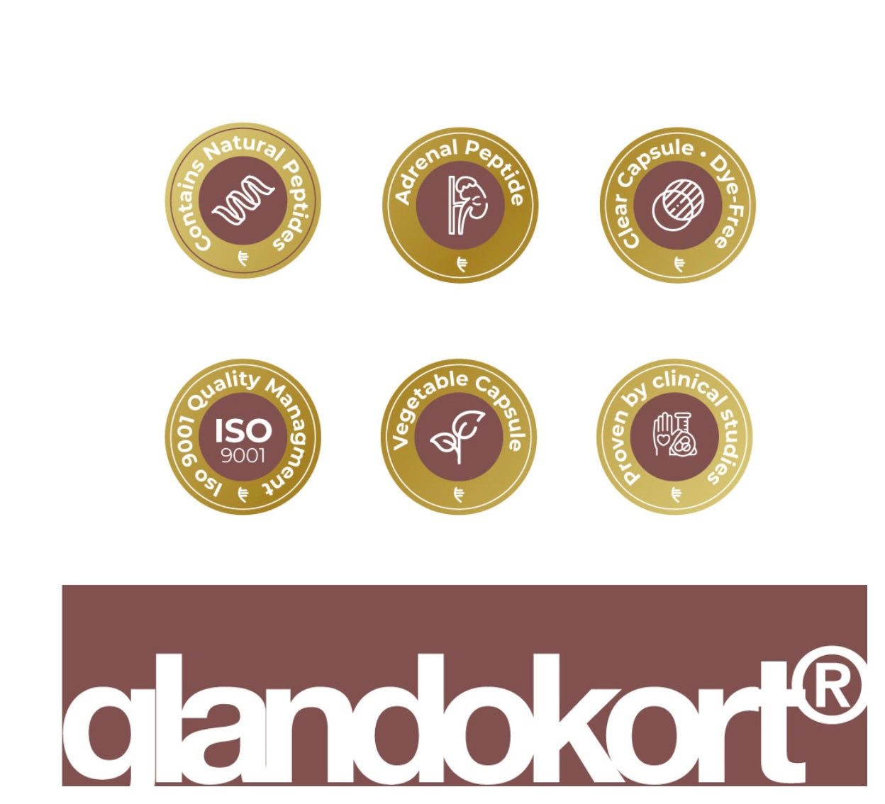Glandokort - A-17 Adrenal Peptide Bioregulator