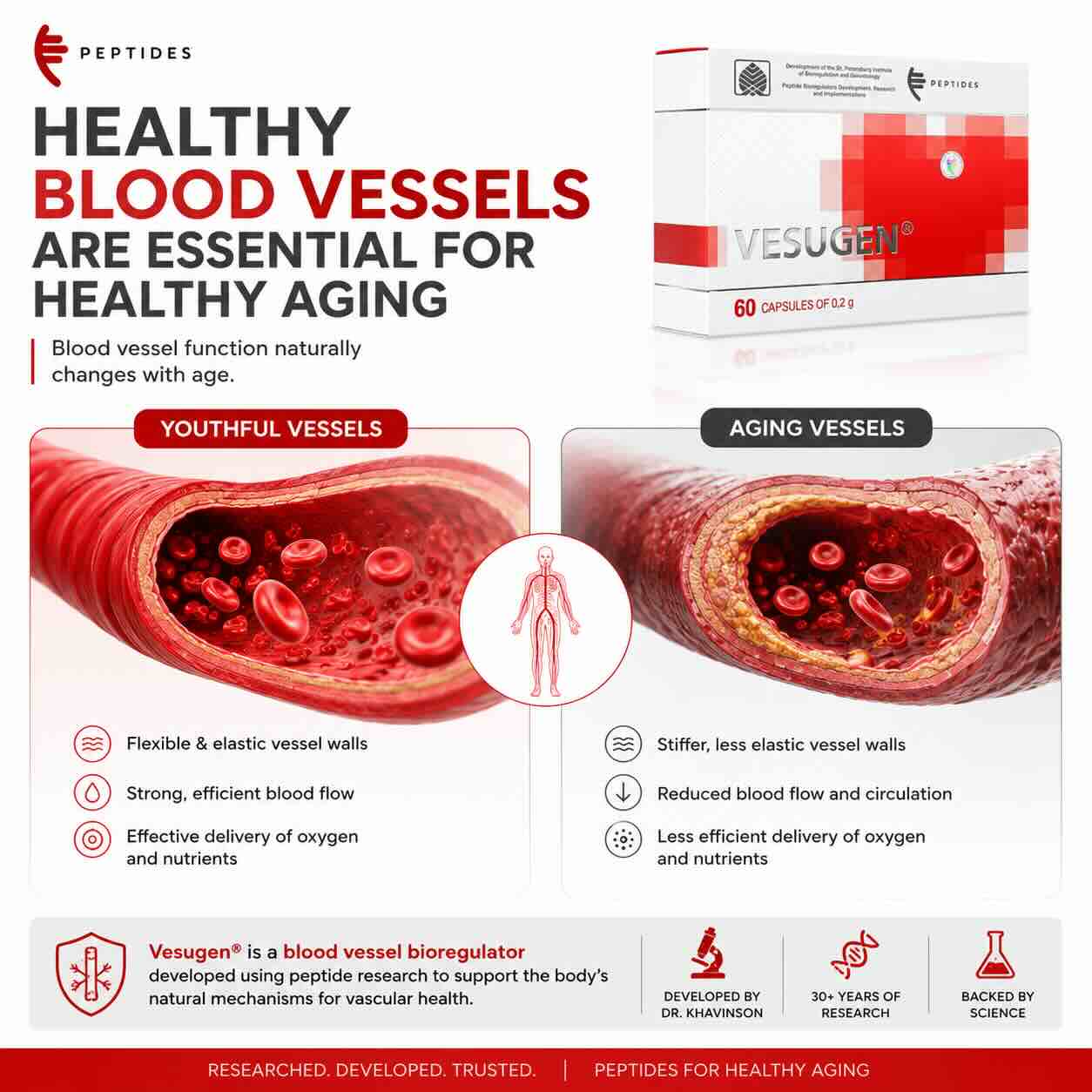 Vesugen - Blood Vessel Bioregulator