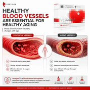 Vesugen - Blood Vessel Bioregulator