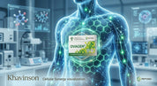 Ovagen - Liver and Gastrointestinal Tract Bioregulator